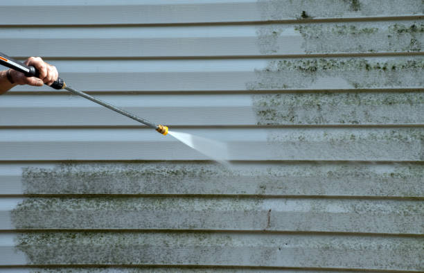 Best Pressure Washing Patio  in Geneva, AL