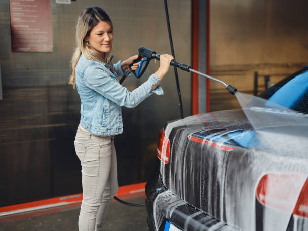 Best Roof Pressure Washing  in Geneva, AL